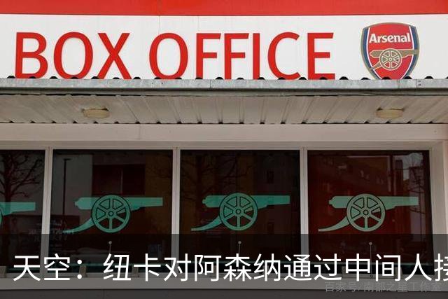 天空：纽卡对阿森纳通过中间人接触吉马良斯不满，标价8000万镑起